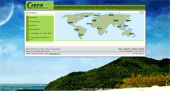 Desktop Screenshot of carfip.com